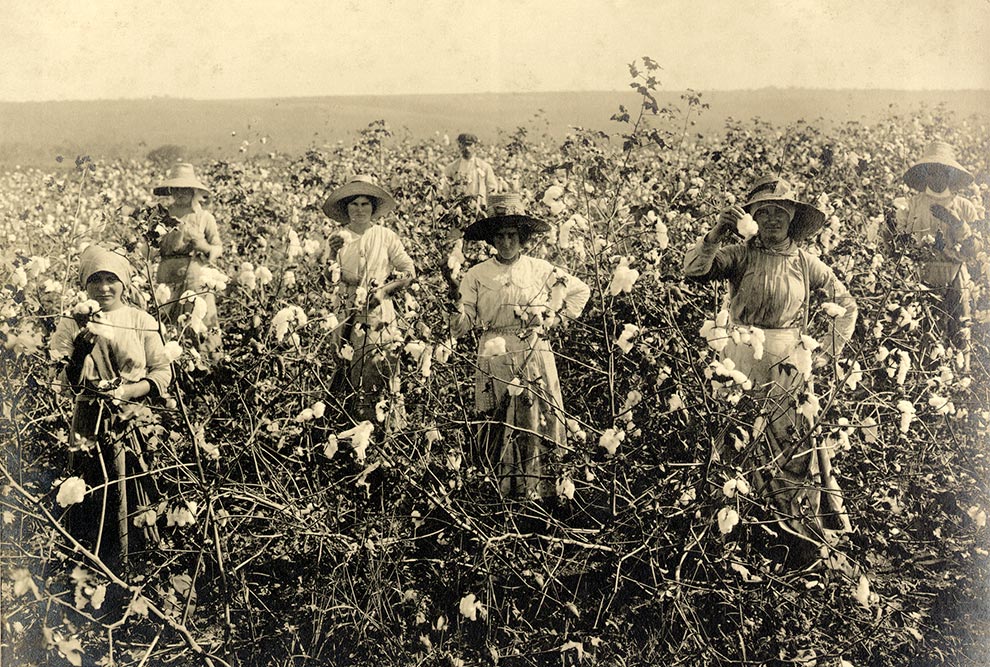 Mulheres na colheita de algodão (acima) e tecelãs na Indústria Matarazzo (abaixo): pesquisa mostra a relação entre marcos da industrialização e a exploração da força de trabalho