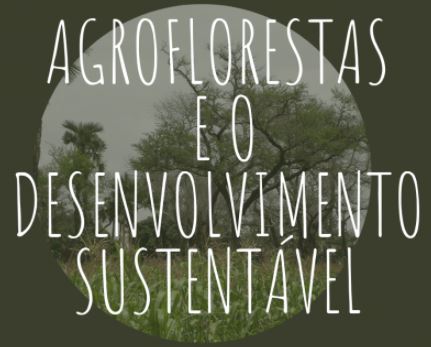 Logotipo do evento Agroflorestas e desenvolvimento sustentável