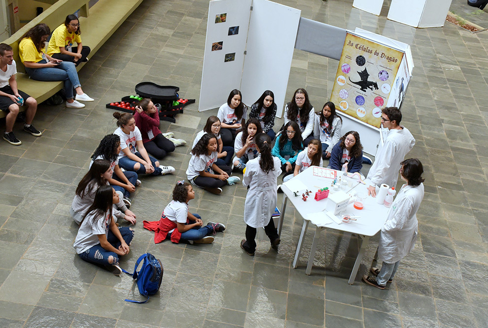 Atividades do projeto Meninas SuperCientistas em 2019; ao longo de cinco sábados, entre os dias 12 de novembro e 10 de dezembro, o projeto irá receber alunas de escolas públicas e privadas de Campinas e região