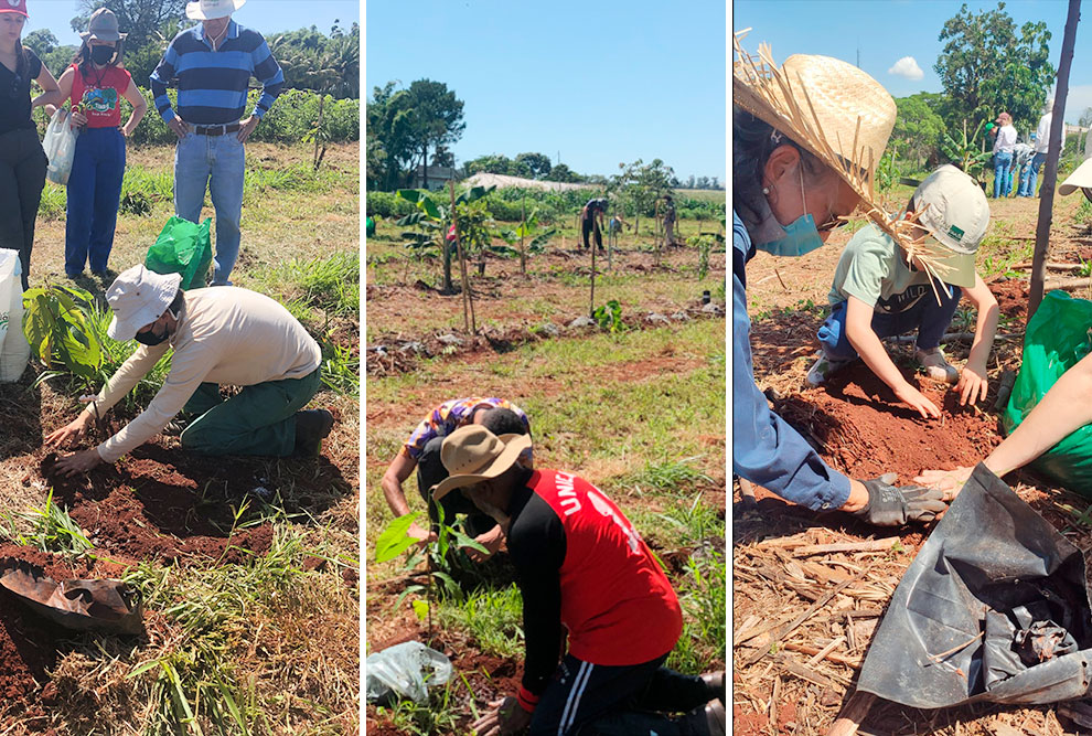 A ação teve a participação de estudantes do curso de Engenharia Agrícola, além de docentes e funcionários da unidade