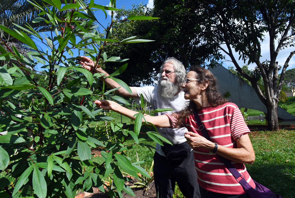 Canteiros do jardim estão sob os cuidados da professora Maria do Carmo Amaral e do colaborador Volker Bittrich