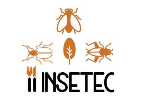 II Congresso Brasileiro de Insetos Alimentícios e Tecnologias Associadas (INSETEC) 
