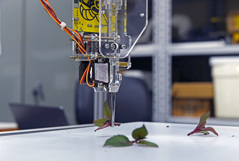 Robô desenvolvido na Laboratório de Instrumentação e Controle da Feagri: plantio de até 20 mil mudas por dia
