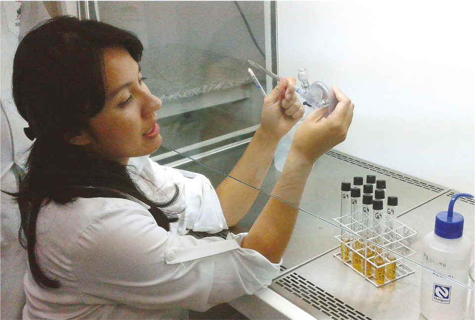 A pesquisadora Graciela Fujimoto, autora do trabalho: “Resultados apontam que o extrato etanólico de própolis verde pode ser uma alternativa para o tratamento contra as bactérias resistentes à Vancomicina”