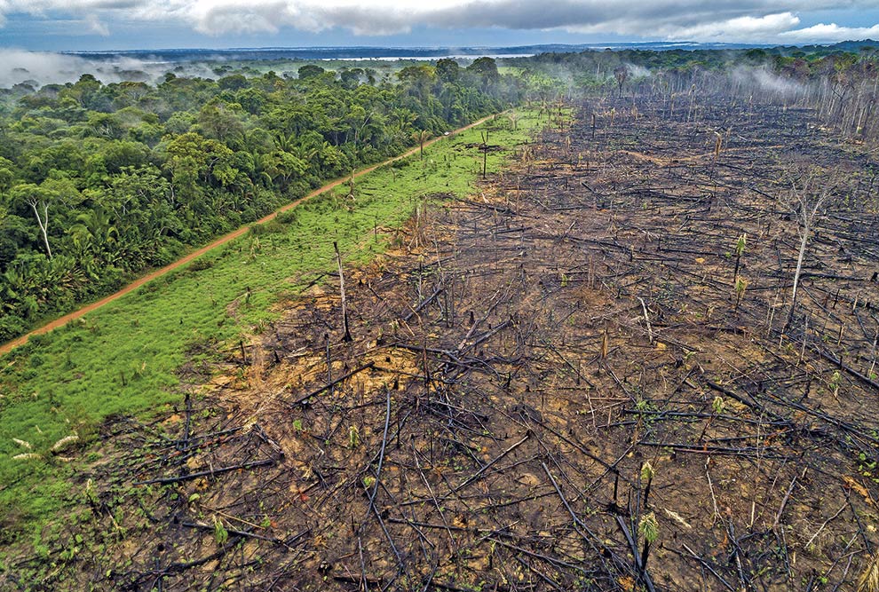 Imagem de desmatamento na Amazônia; estudo da Organização Mundial da Saúde associa a fragmentação de florestas com doenças infecciosas emergentes (Foto: Camila Caldas)