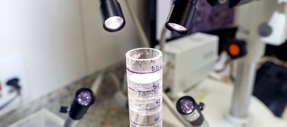 Laboratório-de-Ciência-de-Dados-de-Imagem---Foto-por-Pedro-Amatuzzi---interna