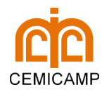 Logotipo Cemicamp