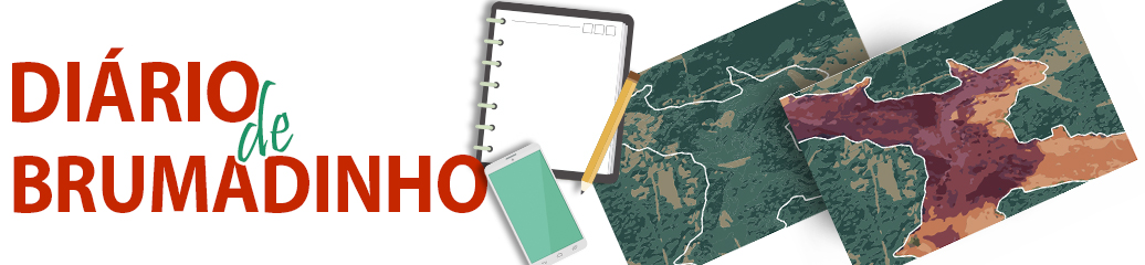 Diário de Brumadinho