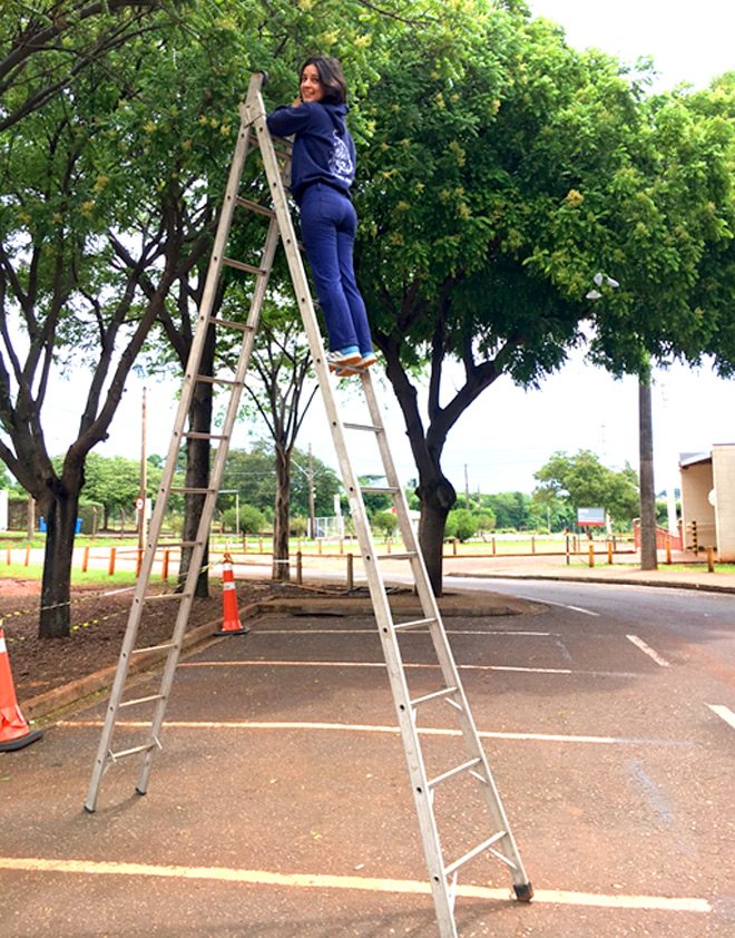 Uma longa escada, carregada com a ajuda de colegas pesquisadores para alcançar as flores das árvores de 7 a 10 metros de altura, foi uma ferramenta fundamental que a bióloga Marília Claudiano Tavares