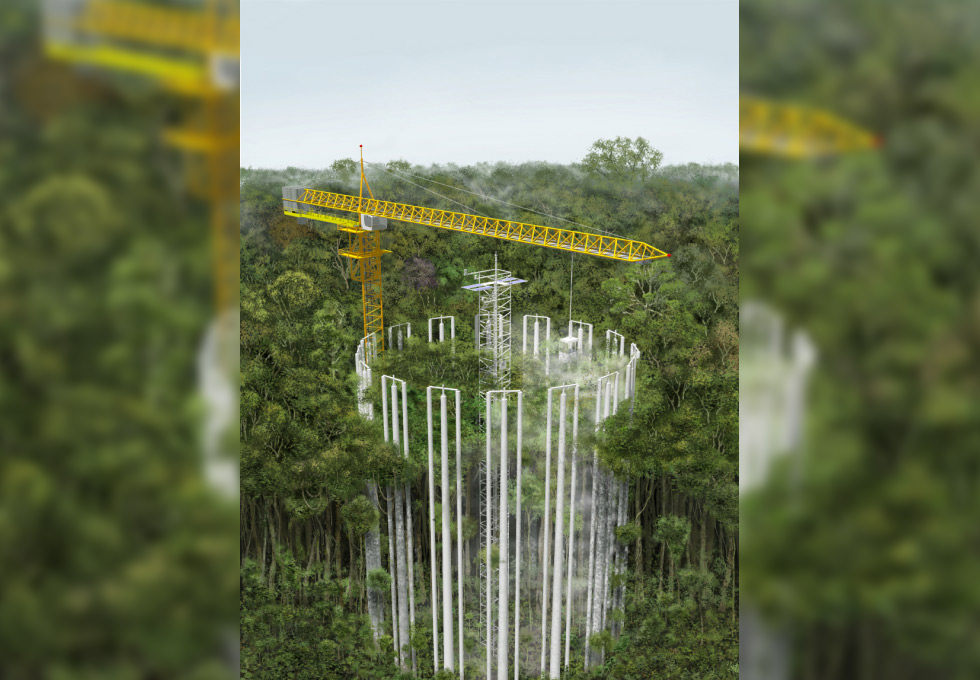 Ilustração da estação de pesquisa AmazonFACE, com os círculos demarcados na floresta e 16 torres de 35 metros de altura, ultrapassando a copa das árvores