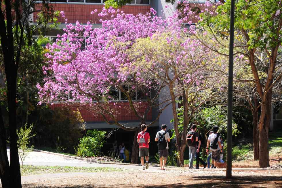 audiodescrição: fotografia colorida do campus da unicamp