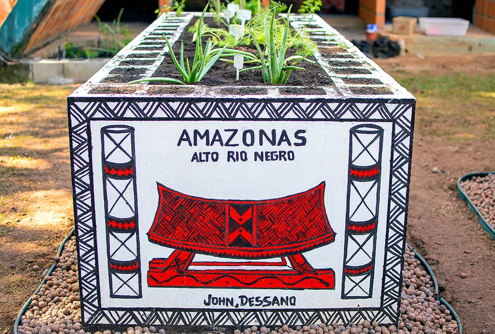 foto mostra canteiro de plantas decorado com uma pintura indígena e os dizeres "amazonas alto rio negro"