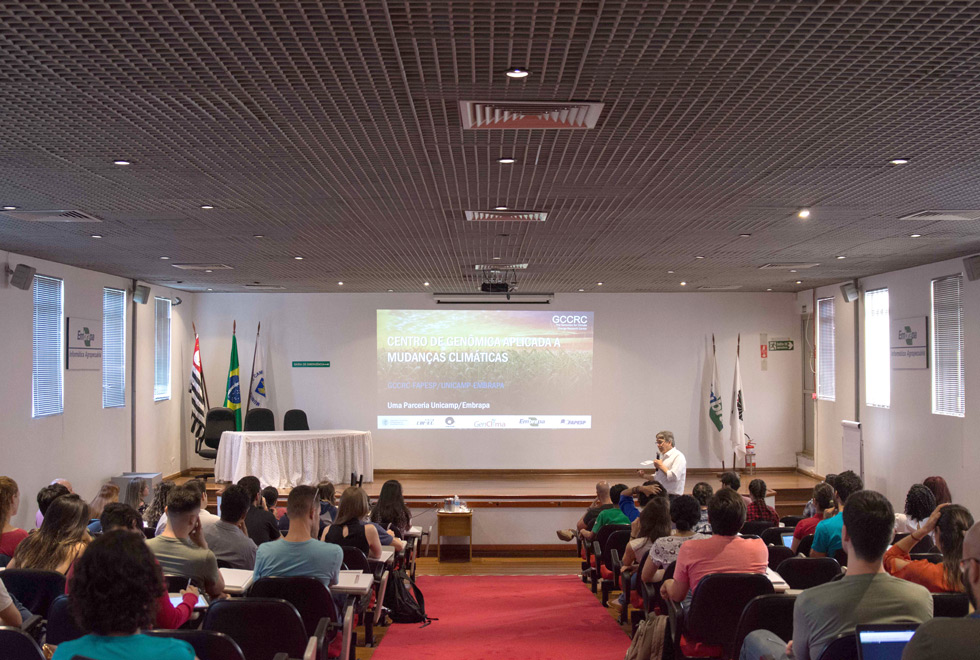 Curso