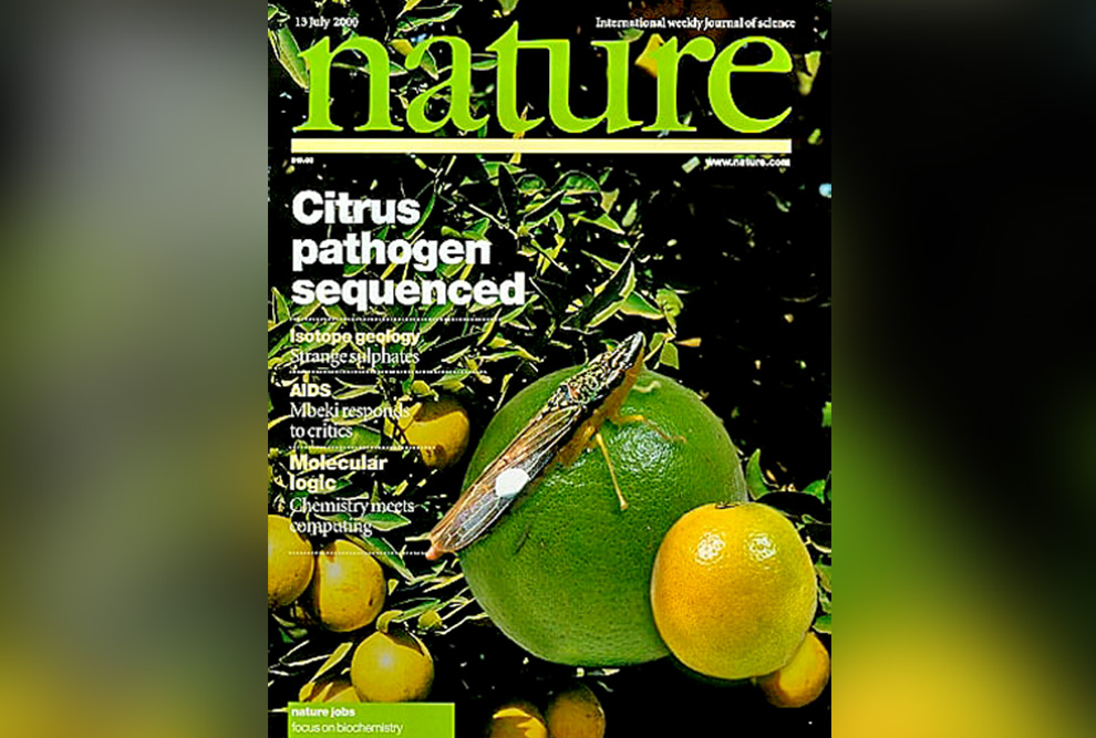 O sequenciamento do genoma da bactéria Xylella fastidiosa (2000)  que causa doença em plantações de citrus, colocou o Brasil na  capa da prestigiosa revista científica Nature e na ciência mundial.  Imagem: reprodução Nature 