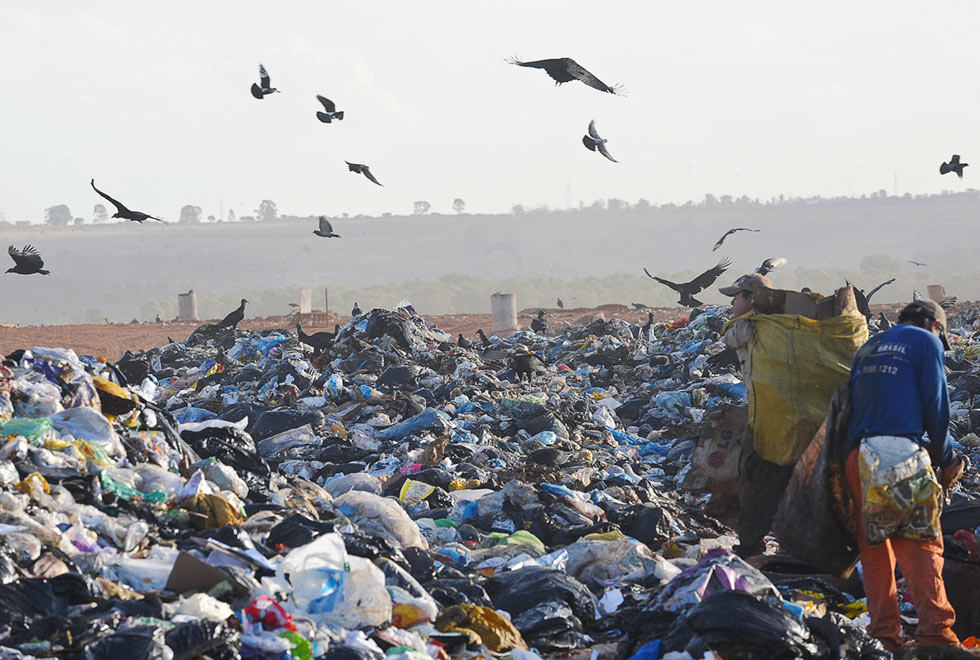 imagem mostra lixão com aves sobrevoando e no canto direito um catador de recicláveis