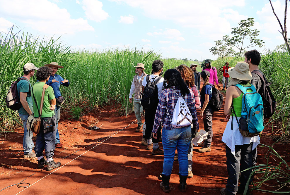 Alunos e docentes em atividade de campo na fazenda Argentina
