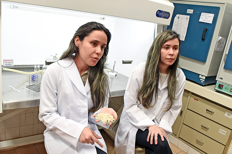 As gêmeas Caroline e Carine Nunes de Almada: processos desenvolvidos no doutorado já têm pedidos de patente