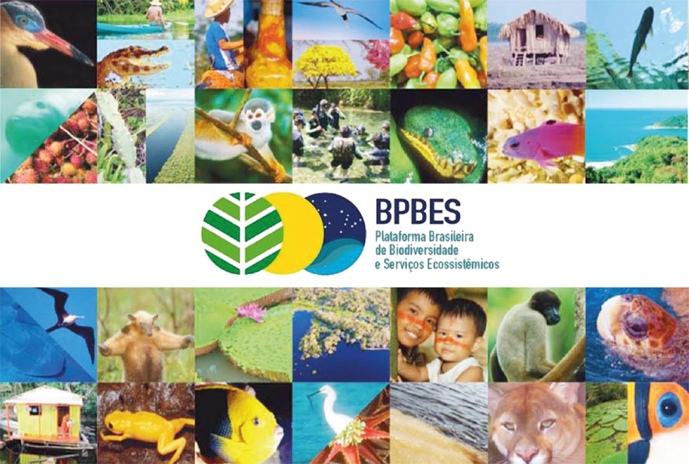 Diagnóstico brasileiro que será apresentado durante evento é baseado nos resultados do BPBES