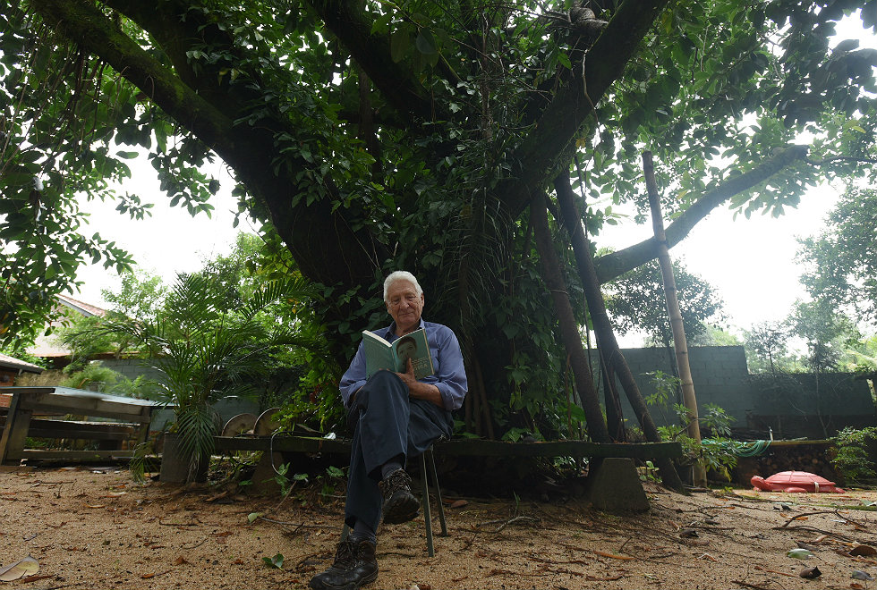 professor com livro em frente a árvore