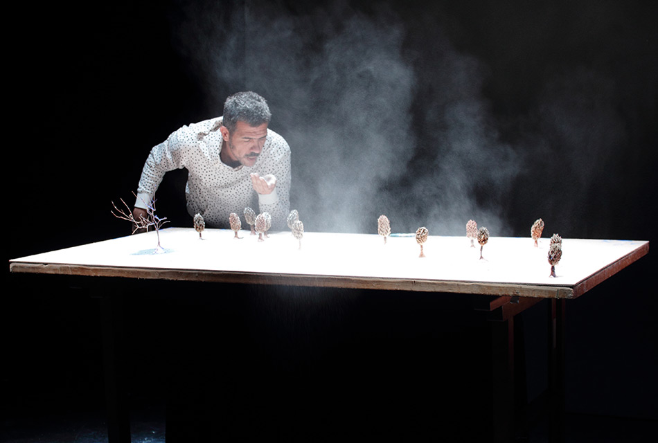 Gustavo Ciríaco, em cena de um espetáculo, assopra uma porção de poeira sobre uma mesa onde aparecem pequenas árvores como em uma maquete