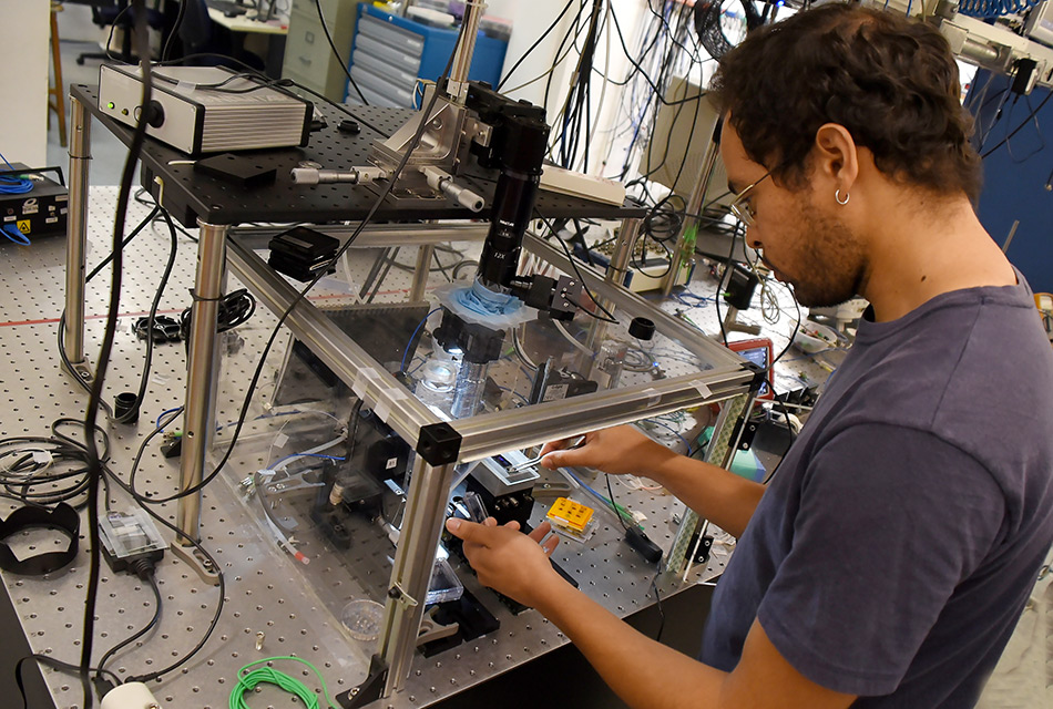 O estudante de doutorado Felipe Santos, de perfil, usa pinça para posicionar um pequeno chip óptico sobre plataforma de testes no interior de uma caixa de vidro