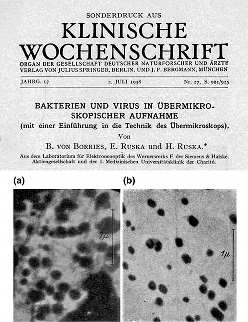 As primeiras imagens de vírus publicadas em 1938