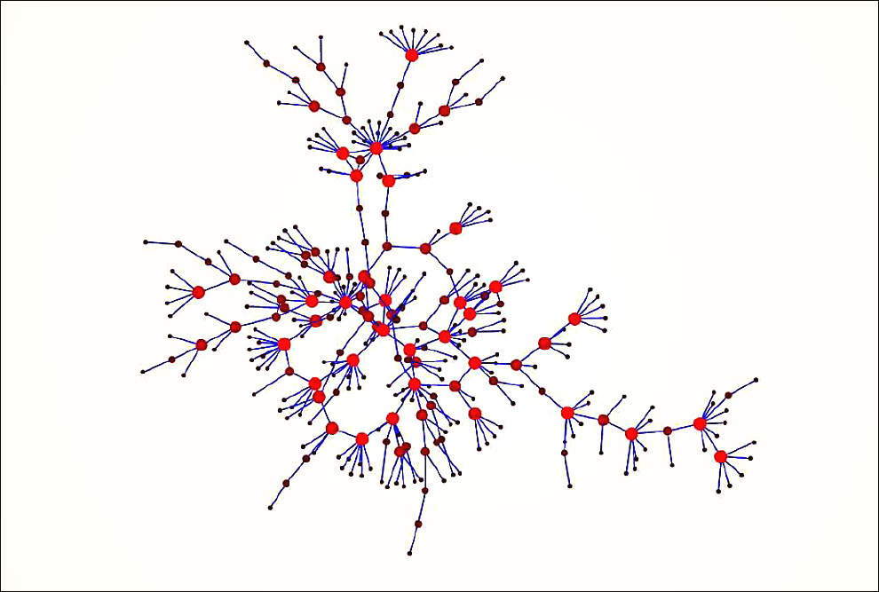 Rede epidêmica de transmissão de HIV em um dado grupo. Os vértices vermelhos representam indivíduos e as arestas azuis a transmissão entre eles (Gorab Goshal).