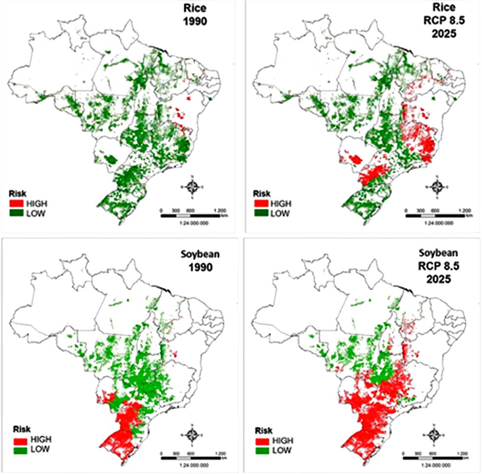 Composição com quatro mapas do Brasil que mostram riscos climáticos associados à agricultura por meio de diferentes cores