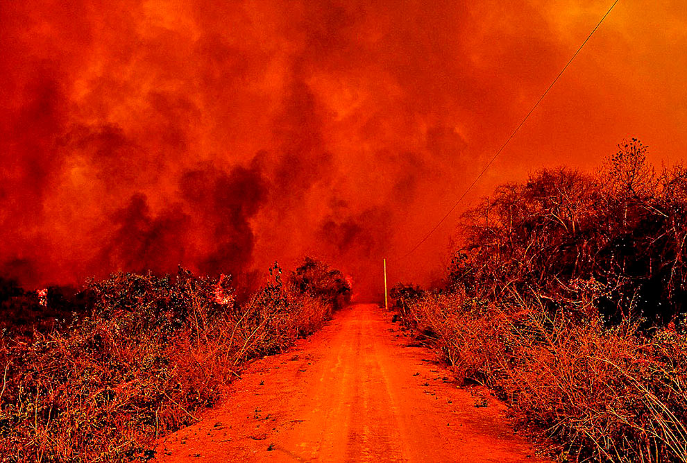 Desde meados de 2020, ocorrem focos de incêndio florestal em quantidade elevada na região do Pantanal e nos estados de Mato Grosso e Mato Grosso do Sul. Crédito: Mayke Toscano/Secom MT/Fotos Públicas