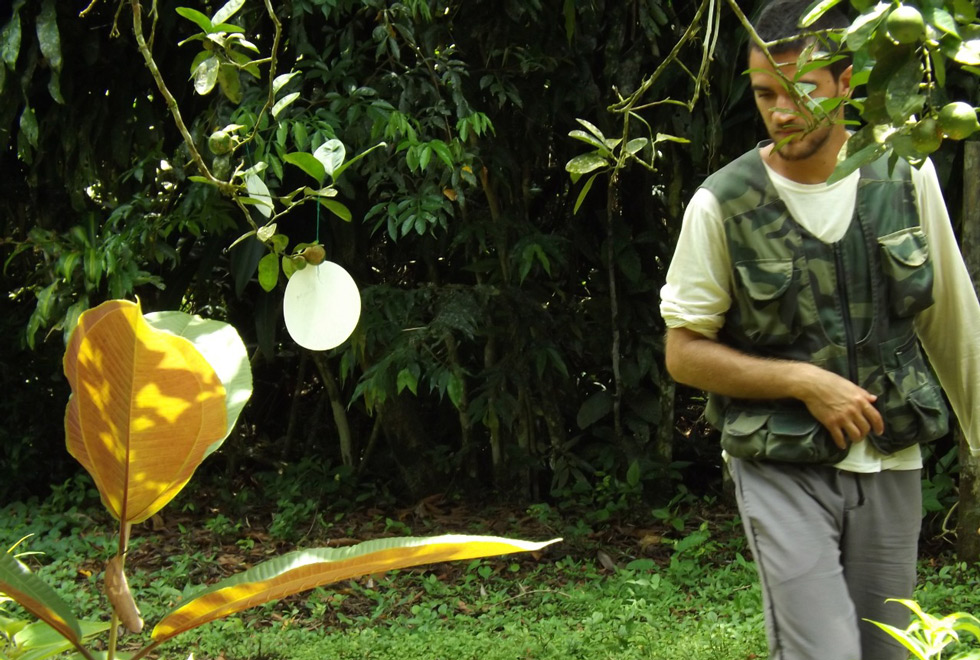 Carlos Nunes durante coletas para experimentos com voláteis em área de floresta