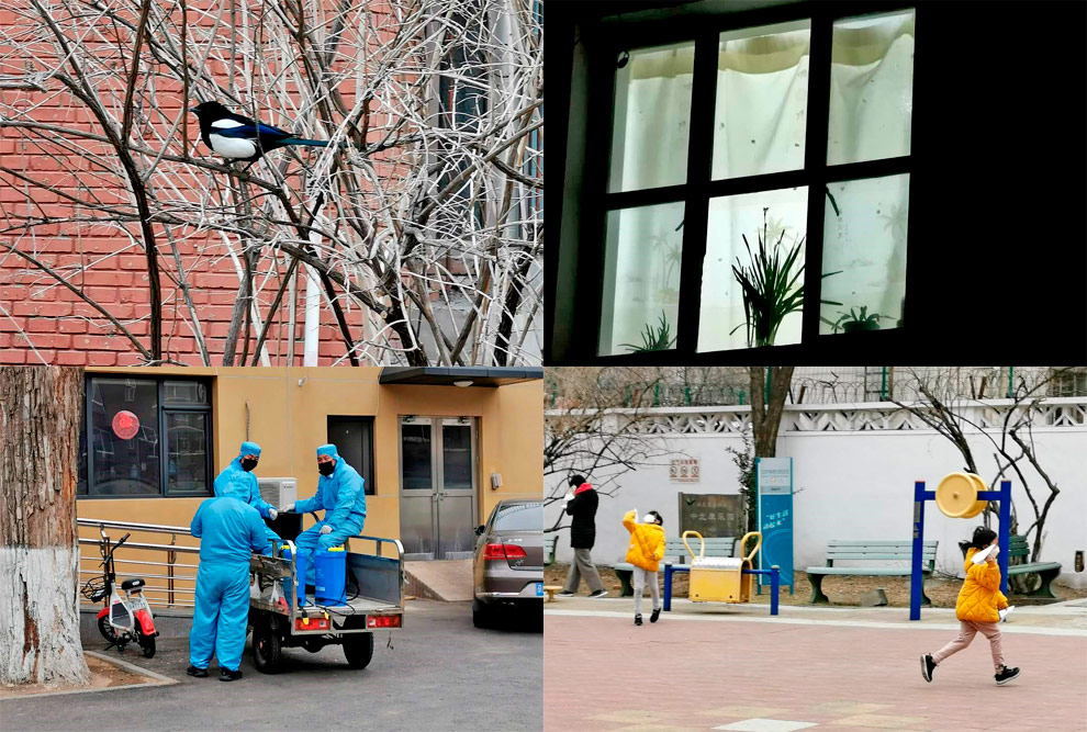 "Nosso bairro renascendo aos poucos" | Fotos:FFH