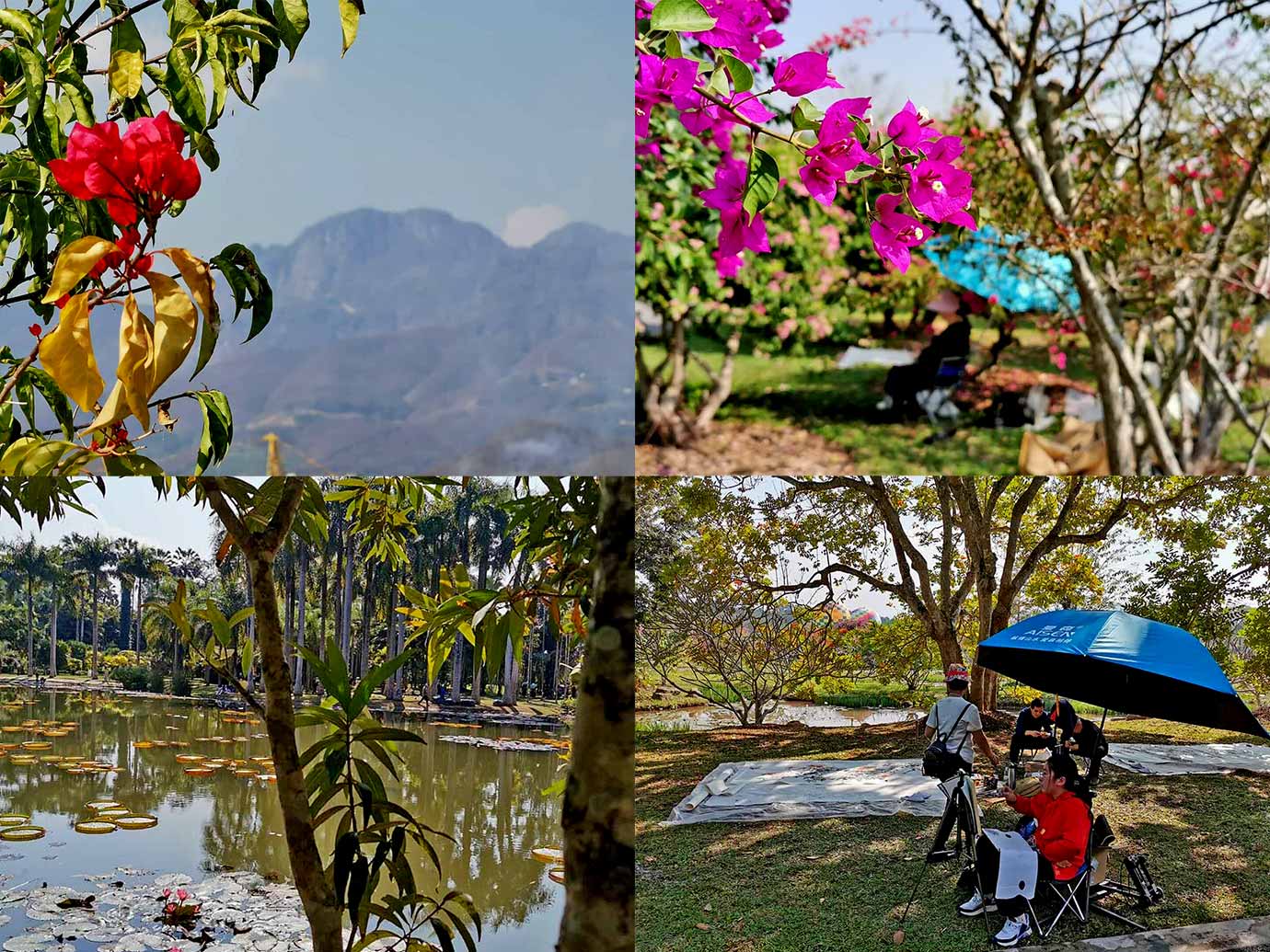 Parque botânico tropical, Menglun | fotos: FFH