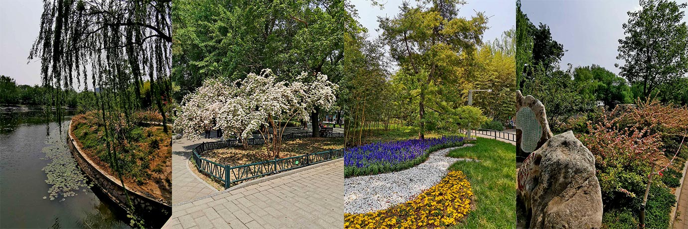 Parque Zizhuyuan, Pequim | fotos: FFH