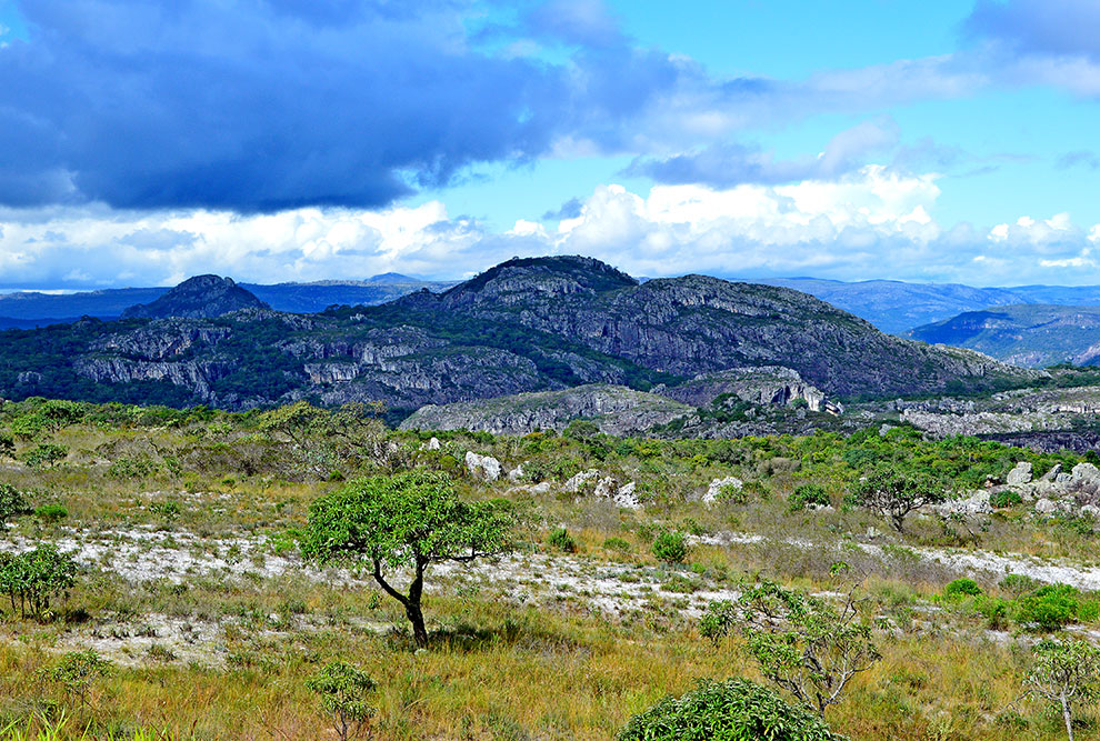 foto mostra paisagem do cerrado brasileiro