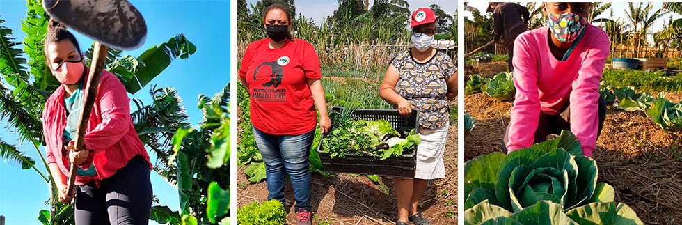 audiodescrição: montagem com três fotografias coloridas de trabalhadoras rurais lidando na horta do assentamento marielle vive