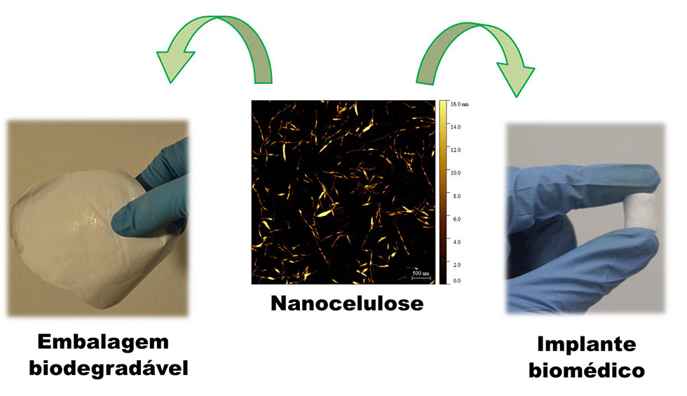 esquema mostra três imagens, no meio uma ilustração da nanocelulose e nas laterais, indicadas com duas setas que saem do meio, uma imagem de embalagem biodegradável e uma amostra de criogel utilizado para implantes ósseios