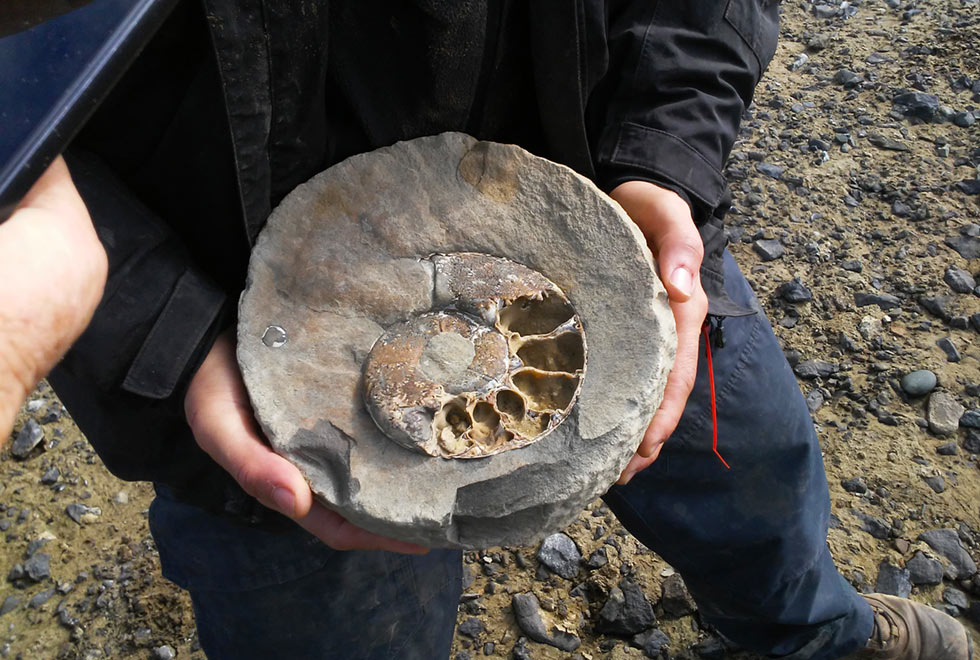 Fóssil de uma concha coletado na Antártida