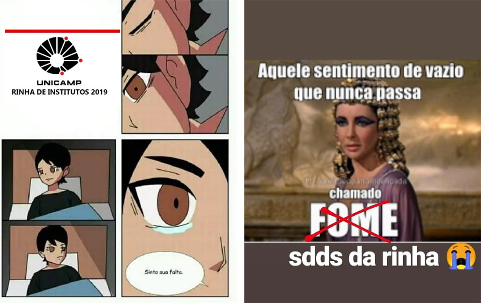 memes extraídos do facebook de saudades da rinha