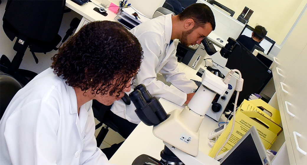 Técnica demonstrou eficiência superior a 90% na avaliação de 15 espécies mais prevalentes Pesquisadores fazem análise no LIDS, laboratório do Instituto de Computação, onde a técnica foi desenvolvida