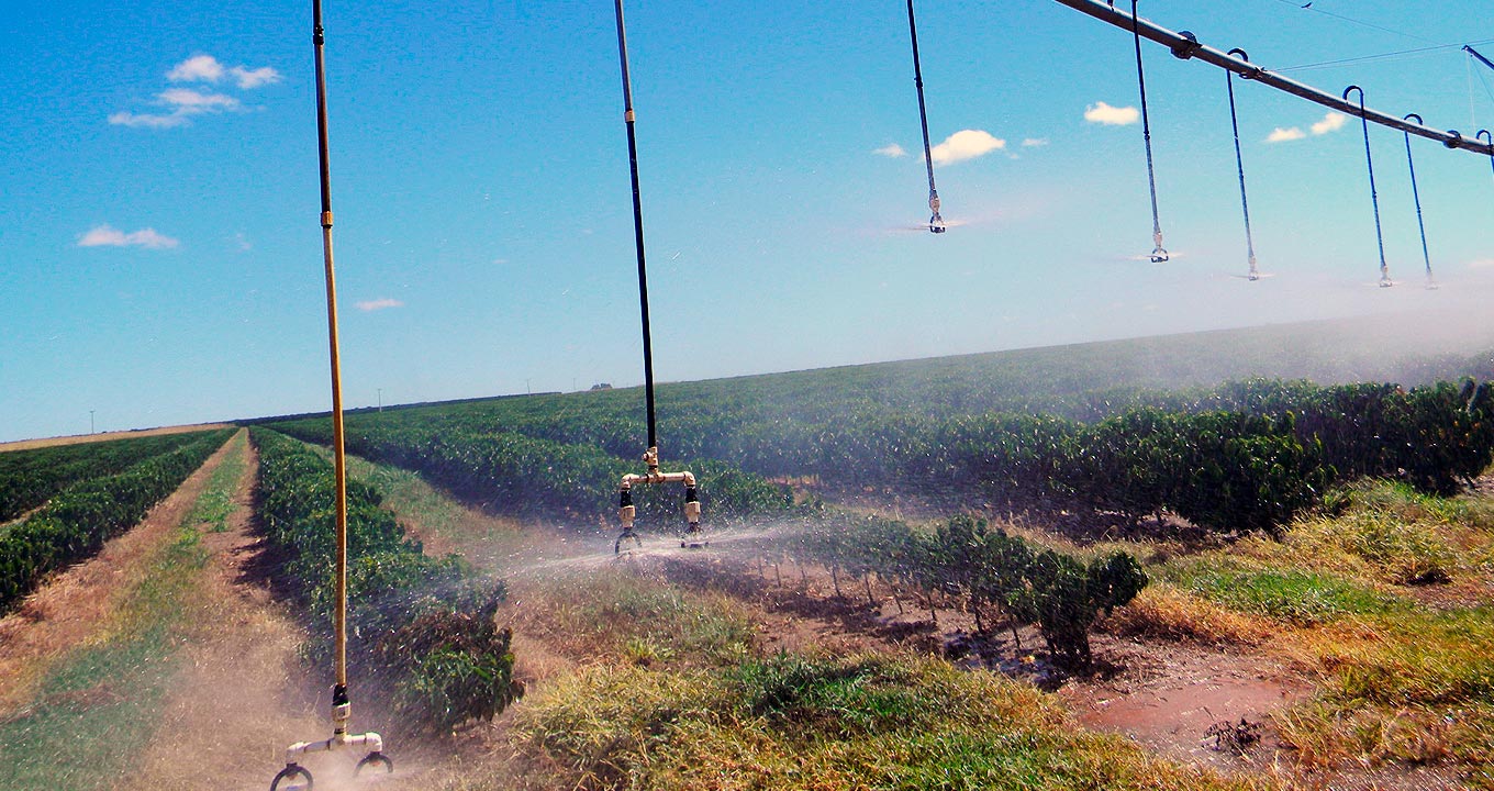 Produção de café sendo irrigada em Barreiras, na Bahia | Foto: Antonio Bliska Jr. 