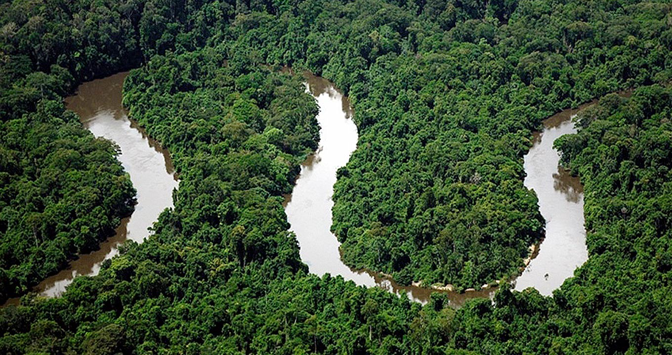 Parque Nacional Montanhas do Tumucumaque | Foto: Reprodução | Greenpeace Parque Nacional Montanhas do Tumucumaque | Foto: Reprodução | Greenpeace