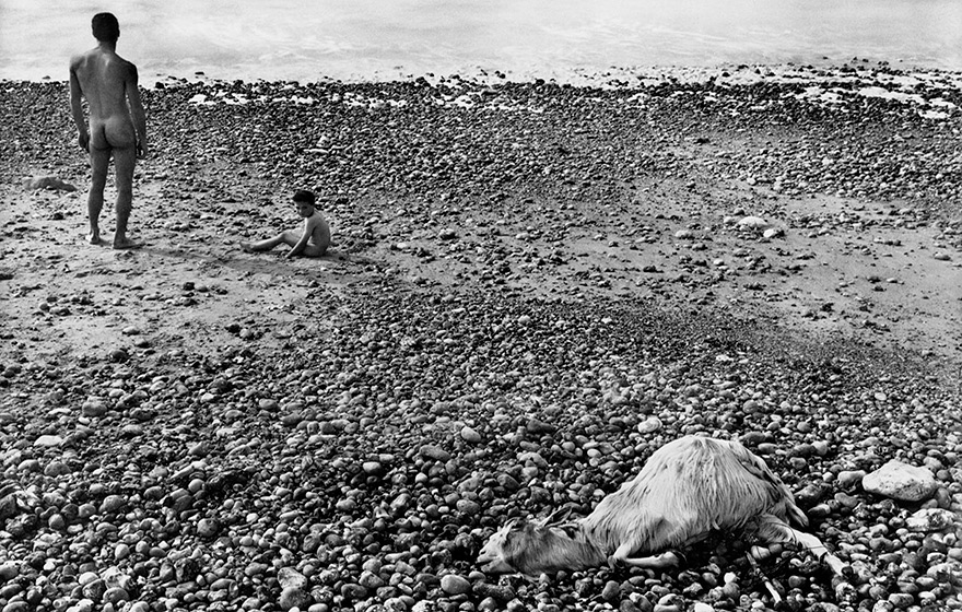 Obra de Agnès Varda, cujo trabalho será analisado no seminário | Reprodução