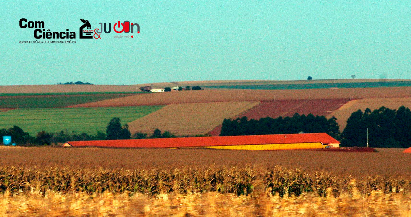 Agricultura | Fazenda produtora de grãos no oeste do Paraná | Foto: Antonio Scarpinetti