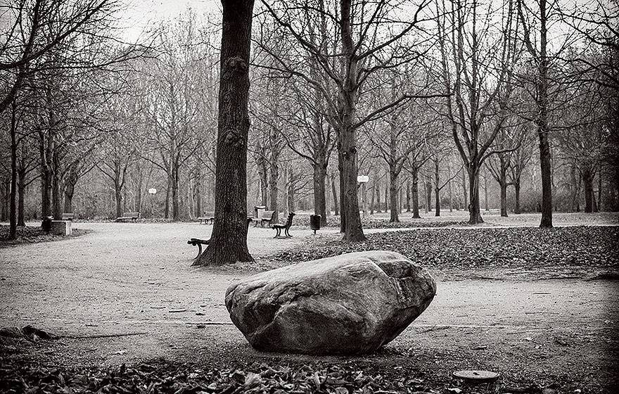 Tiergarten pedra 2014 | Andreas Valentin