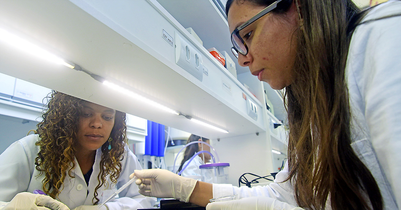 Pesquisadores trabalham no Departamento de Biologia Estrutural e Funcional do IB Pesquisadores trabalham no Departamento de Biologia Estrutural e Funcional do IB