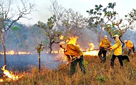 O Brasil teve um número recorde de incêndios florestais em 2017