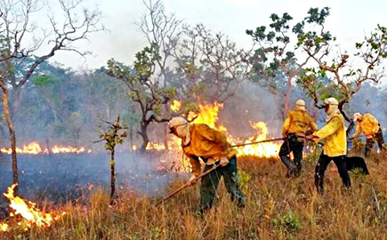 O Brasil teve um número recorde de incêndios florestais em 2017 O Brasil teve um número recorde de incêndios florestais em 2017