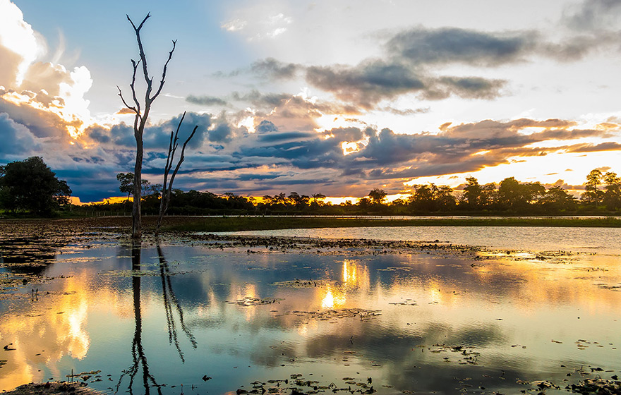 Audiodescrição: Imagem panorâmica de trecho de um grande rio, com o nascer do sol ao fundo entre nuvens. À esquerda, há dois troncos de árvore, secos e altos, dentro do rio, sendo que ao fundo, em uma das margens do rio, aparece uma extensa vegetação. O reflexo do céu, das nuvens e do sol na água do rio fazem uma composição colorida e ampla. Imagem 1 de 1. 