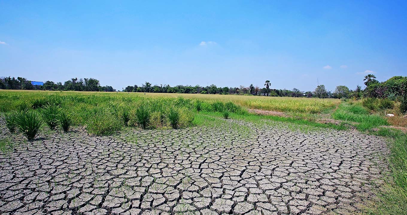 A degradação dos solos atinge 75% da superfície do planeta | Reprodução - shutterstock Audiodescrição: Imagem panorâmica de área em campo aberto, na horizontal, sendo que em primeiro plano aparece área de terra bastante seca, com solo apresentando várias rachaduras, e logo atrás surge uma área com vegetação baixa, e ao fundo uma mata com árvores mais altas. Faz sol e o céu está azulado. Imagem 1 de 1.