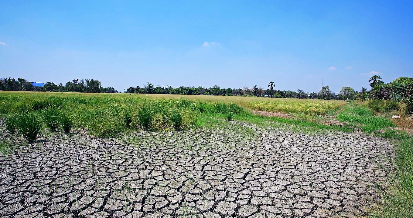 Audiodescrição: Imagem panorâmica de área em campo aberto, na horizontal, sendo que em primeiro plano aparece área de terra bastante seca, com solo apresentando várias rachaduras, e logo atrás surge uma área com vegetação baixa, e ao fundo uma mata com árvores mais altas. Faz sol e o céu está azulado. Imagem 1 de 1.